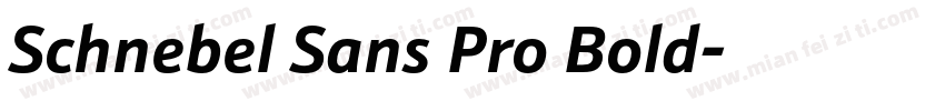 Schnebel Sans Pro Bold字体转换